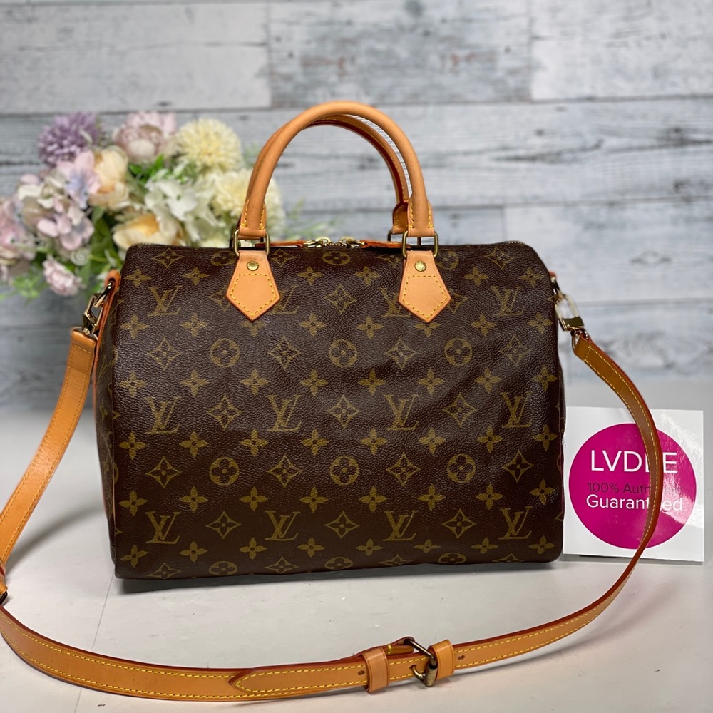LOUIS VUITTON Speedy 30 Monogram